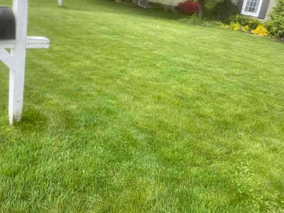Lawn Care service in Camillus, 13031