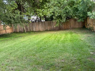Lawn Care service in Eden, 27288