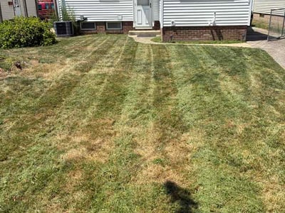 Lawn Care service in Parma Heights, 44130