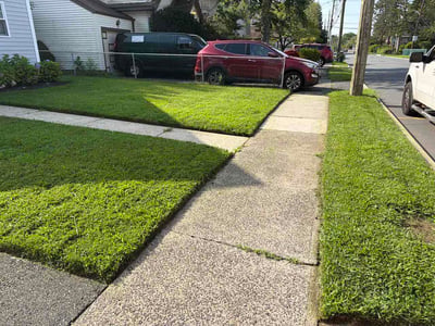 Lawn Care service in Bergenfield, 07621