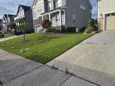 Lawn Care service in Youngsville, 27596