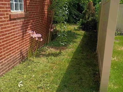 Lawn Care service in Wilmette, 60091