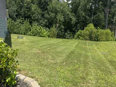 Lawn Care service in Mount Holly, 28120