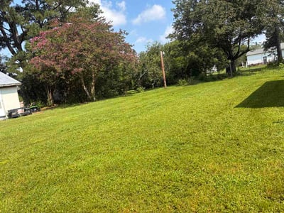 Lawn Care service in Youngsville, 27596