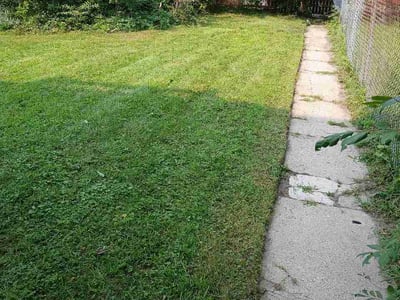 Lawn Care service in Wilmette, 60091