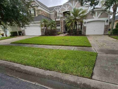 Lawn Care service in Bergenfield, 07621