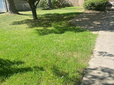 Lawn Care service in Birmingham, 35203