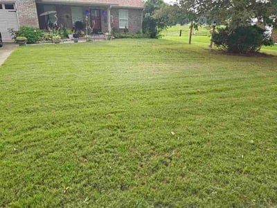 Lawn Care service in Gardendale, 35071