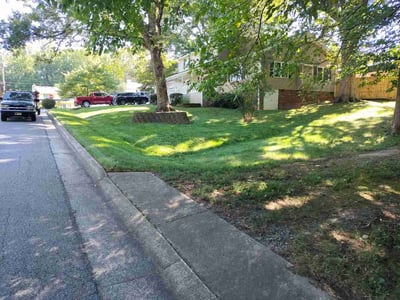 Lawn Care service in Reidsville, 27320