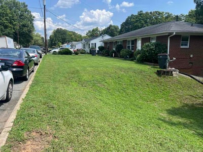 Lawn Care service in Reidsville, 27320