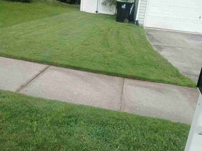 Lawn Care service in Clyde, 28721