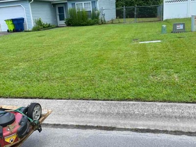 Lawn Care service in Clyde, 28721