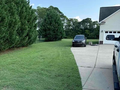 Lawn Care service in Rock Hill, 29730