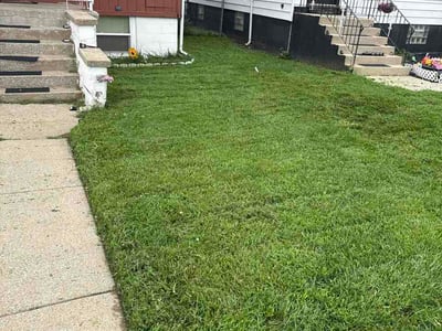 Lawn Care service in Demotte, 46310