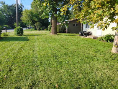 Lawn Care service in Demotte, 46310