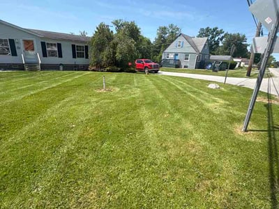 Lawn Care service in Grand Island, 14072