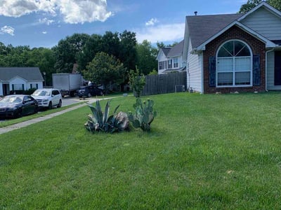 Lawn Care service in Monroe, 28112