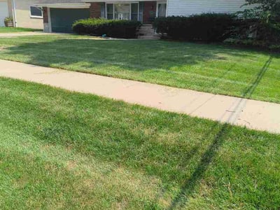 Lawn Care service in Downers Grove, 60515