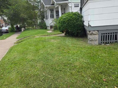 Lawn Care service in Pittsford, 14534