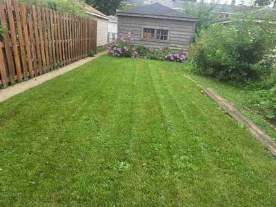 Lawn Care service in Downers Grove, 60515