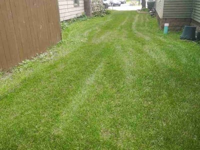 Lawn Care service in Chesterton, 46304