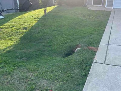 Lawn Care service in Clayton, 27520