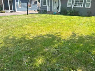 Lawn Care service in Penfield, 14526