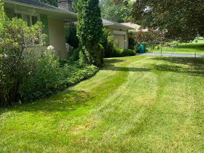 Lawn Care service in Penfield, 14526