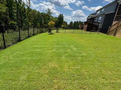 Lawn Care service in Pittsboro, 27312