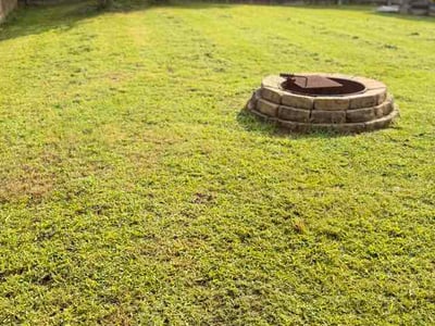 Lawn Care service in Pittsboro, 27312