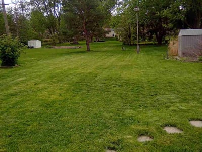 Lawn Care service in Minnetonka, 55345