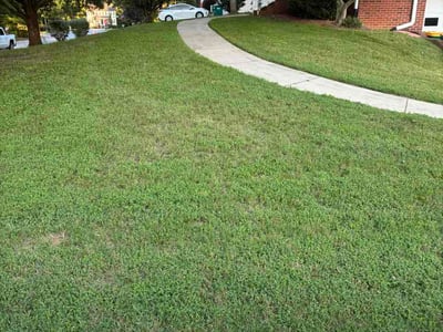 Lawn Care service in Clemmons, 27012