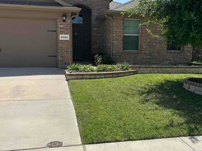 Lawn Care service in Alvarado, 76009