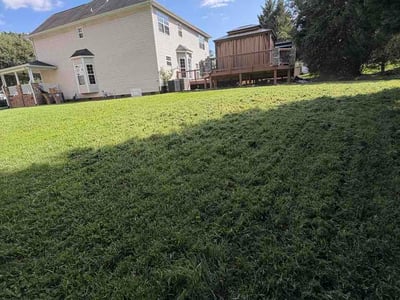 Lawn Care service in Wake Forest, 27587