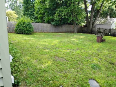 Lawn Care service in Springfield, 01103
