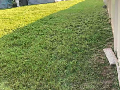 Lawn Care service in Knightdale, 27545
