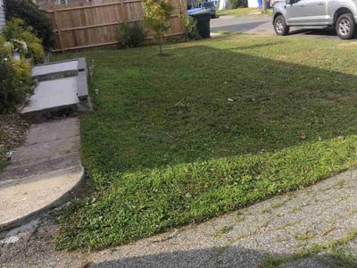 Lawn Care service in Springfield, 01103