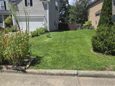 Lawn Care service in Hillsborough, 27278