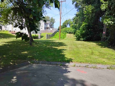 Lawn Care service in Springfield, 01103