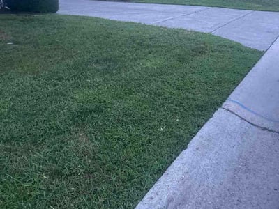 Lawn Care service in Knightdale, 27545