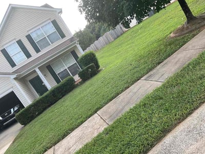 Lawn Care service in South Park, 28210