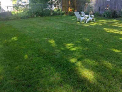 Lawn Care service in Springfield, 01103