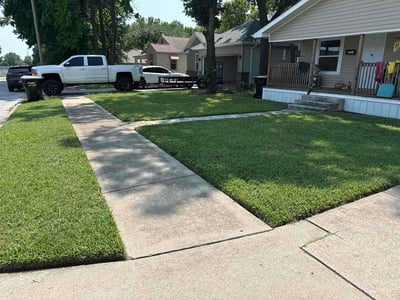 Lawn Care service in Republic, 65738