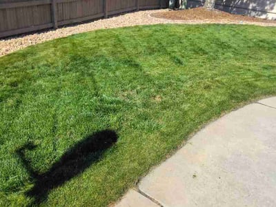 Lawn Care service in Fountain, 80817