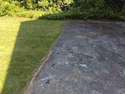 Lawn Care service in Springfield, 01103