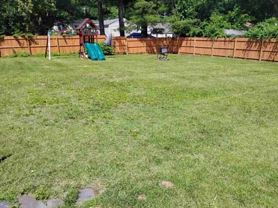 Lawn Care service in Springfield, 01103