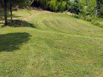 Lawn Care service in Rock Hill, 29730