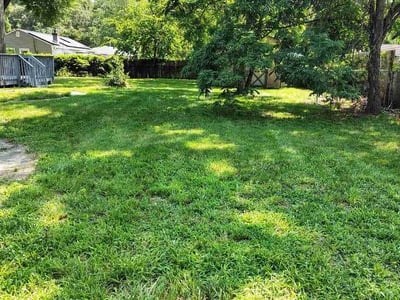 Lawn Care service in Piscataway, 08854