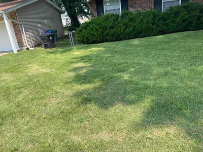 Lawn Care service in St Charles, 63301