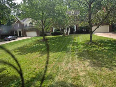 Lawn Care service in Matthews, 28105